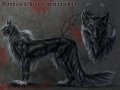 matthias_charactersheet_by_blackmystica-d3a315s.jpg